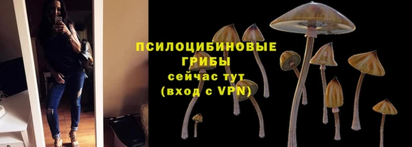 spice Алексин