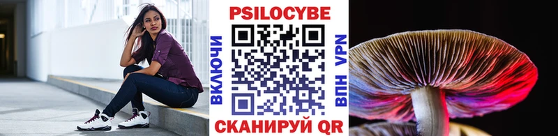маркетплейс какой сайт  Кизел  Галлюциногенные грибы Cubensis 